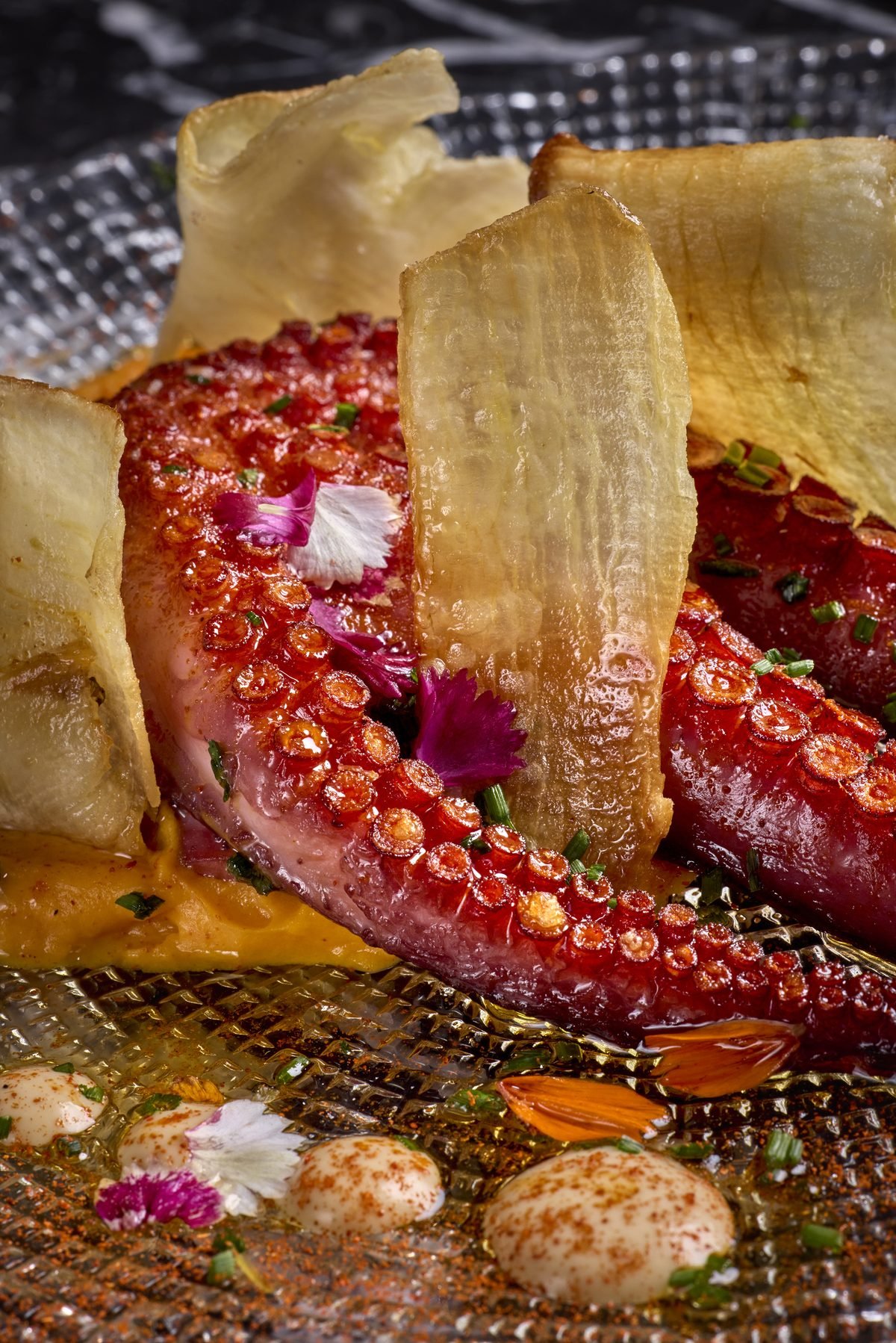 Pulpo braseado sobre cremoso de boniato