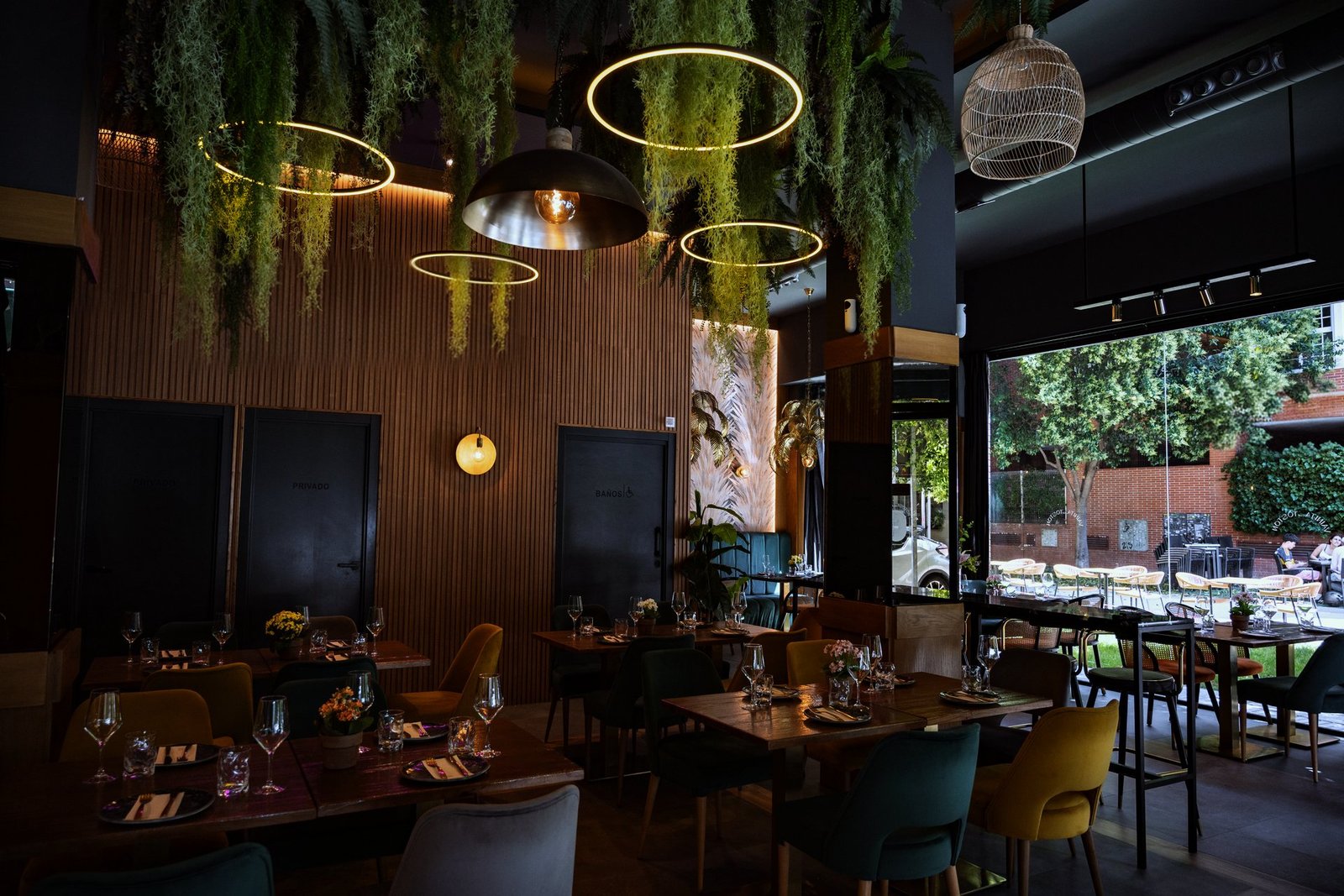 Sala de Vainita con Tostón: plantas colgantes, aros de luz y la terraza al fondo
